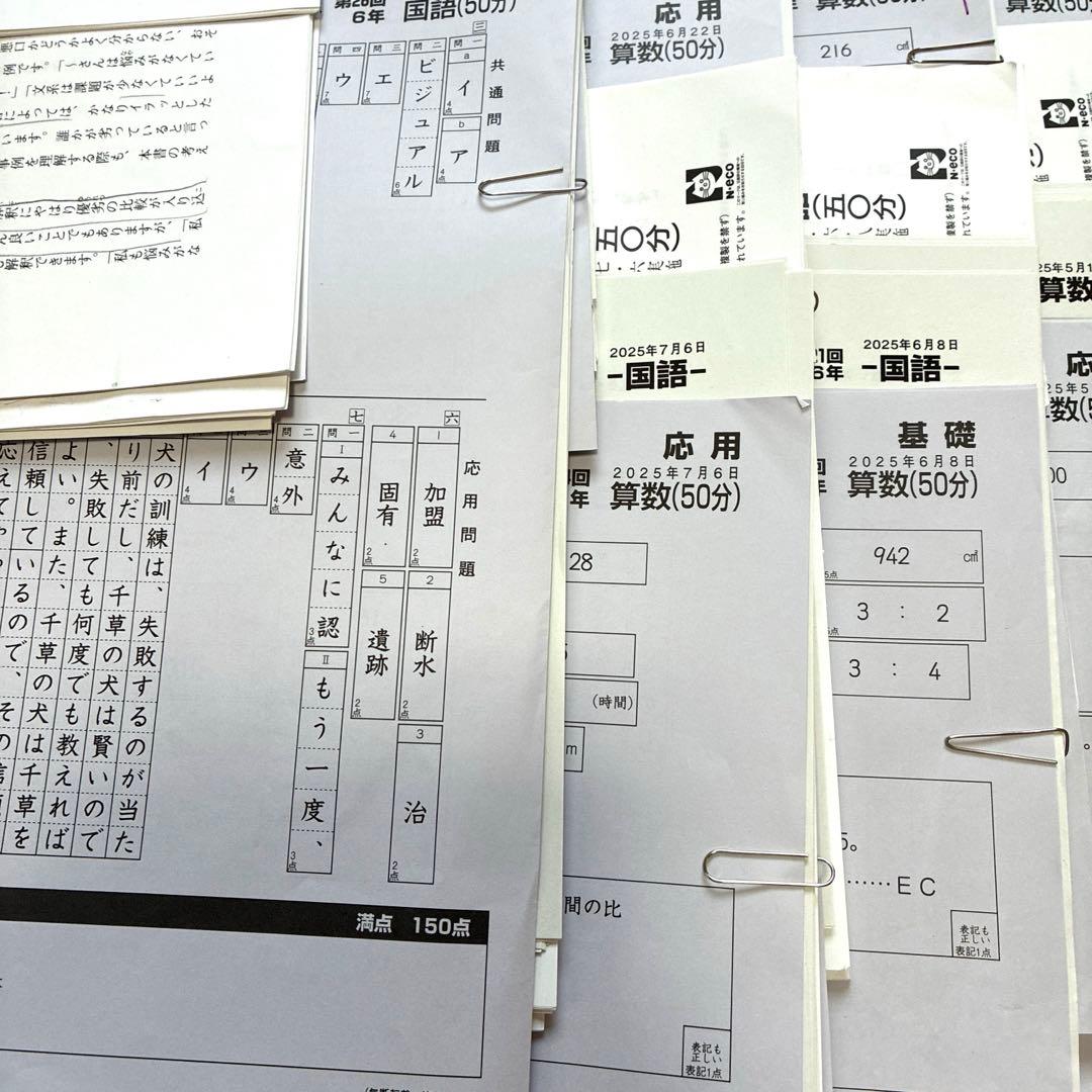 【最新2025年】日能研6年 前期　24回分　公開模試　育成テスト　入試実践模試
