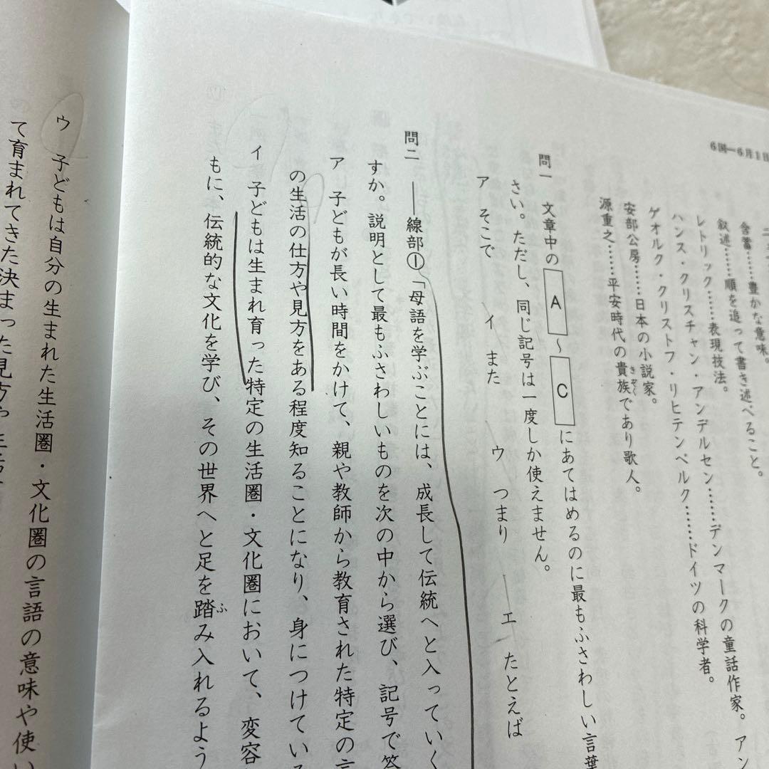 【最新2025年】日能研6年 前期　24回分　公開模試　育成テスト　入試実践模試