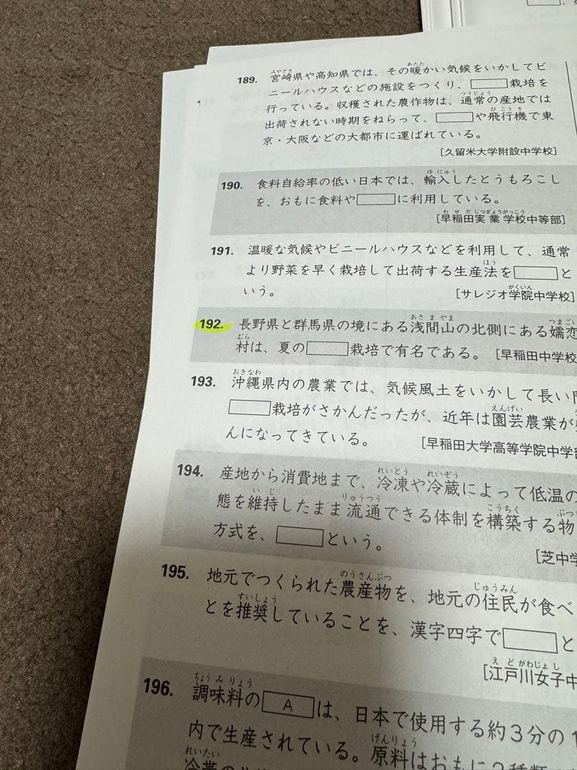 レミソラちゃん様スタディアッププラチナアウトプット地理歴史公民2022/2023