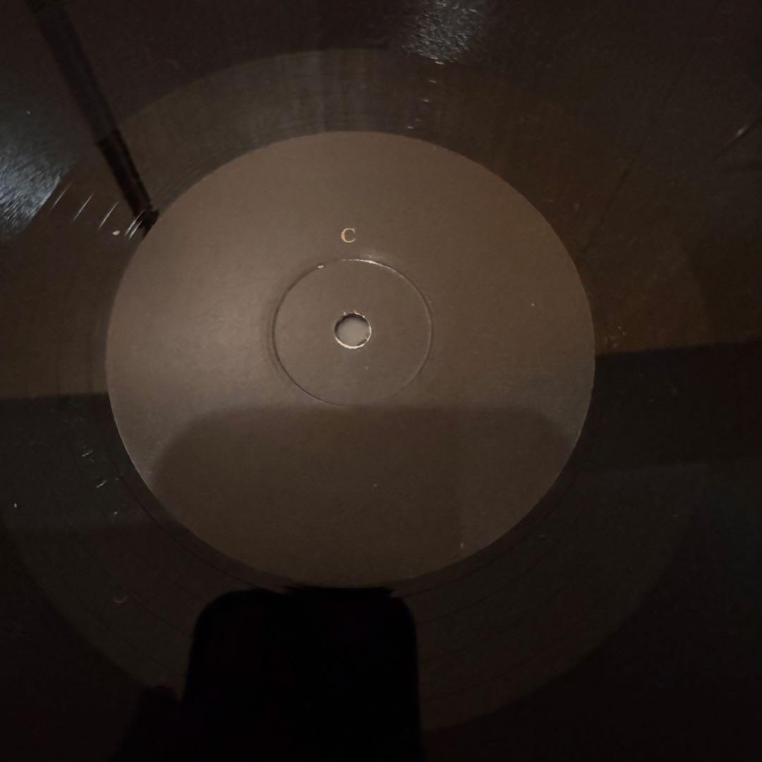 SCORN GYRAL レコード2枚組