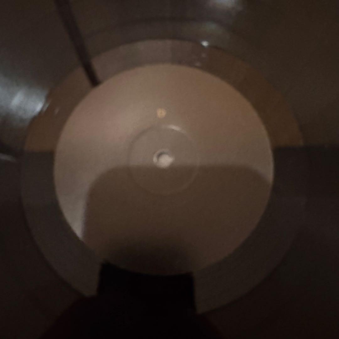 SCORN GYRAL レコード2枚組