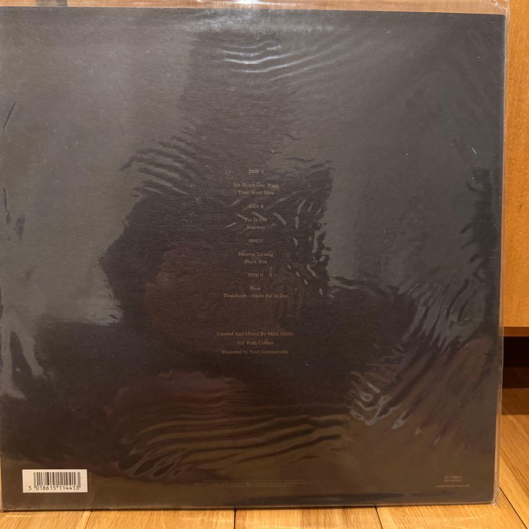 SCORN GYRAL レコード2枚組