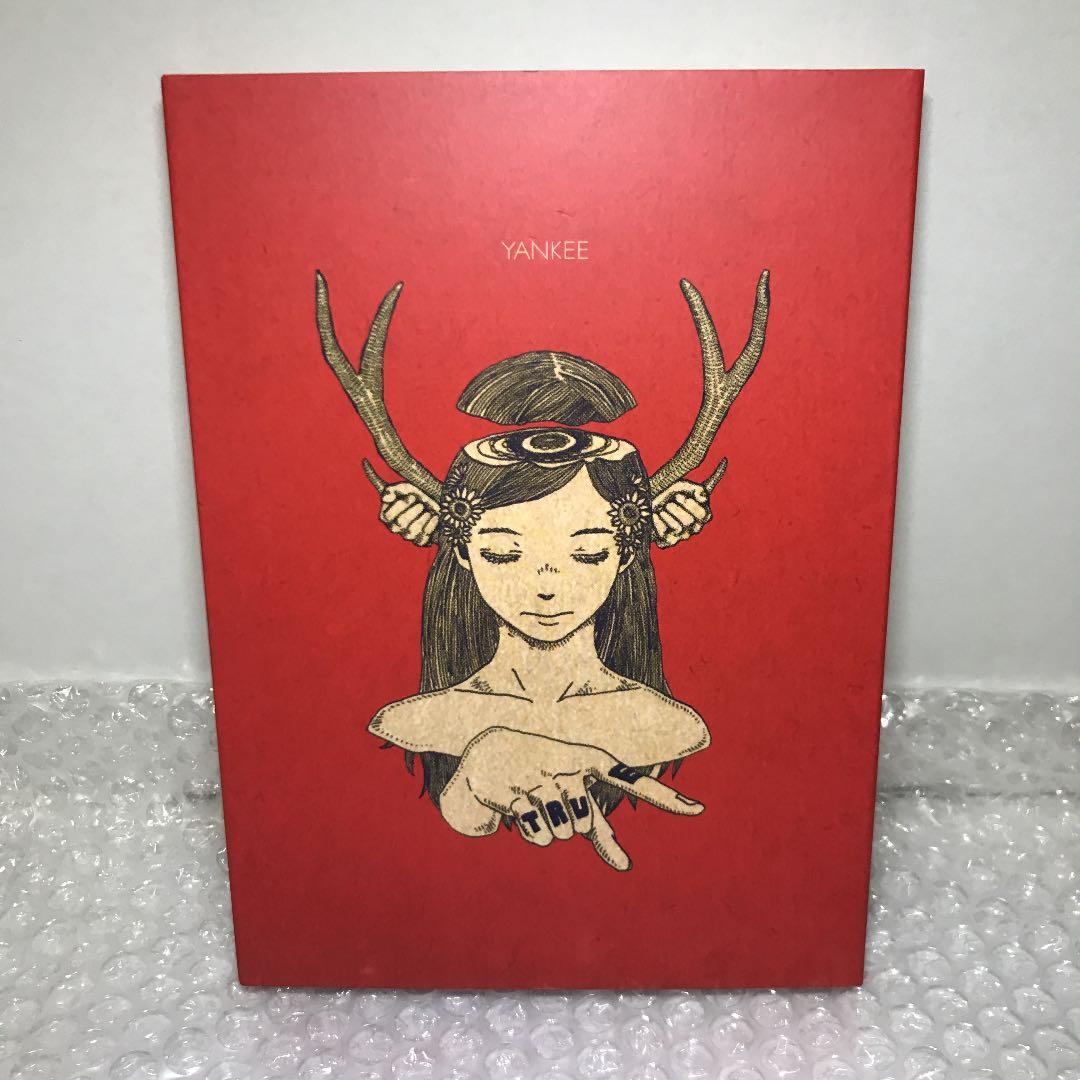 [初回限定盤・画集盤] YANKEE ハチ 米津玄師