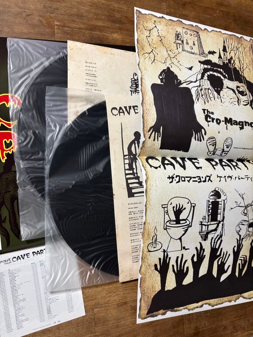CAVE PARTY ザ クロマニヨンズ レコード アナログ