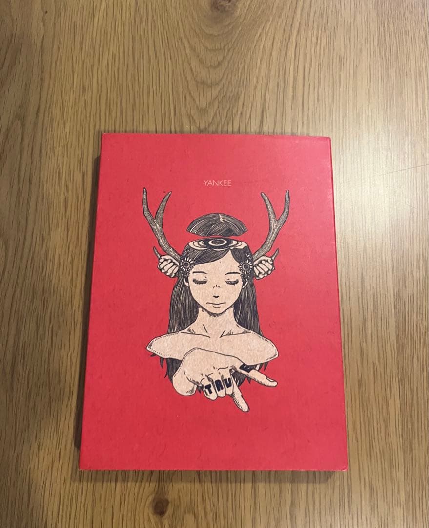 米津玄師 YANKEE 初回限定画集版