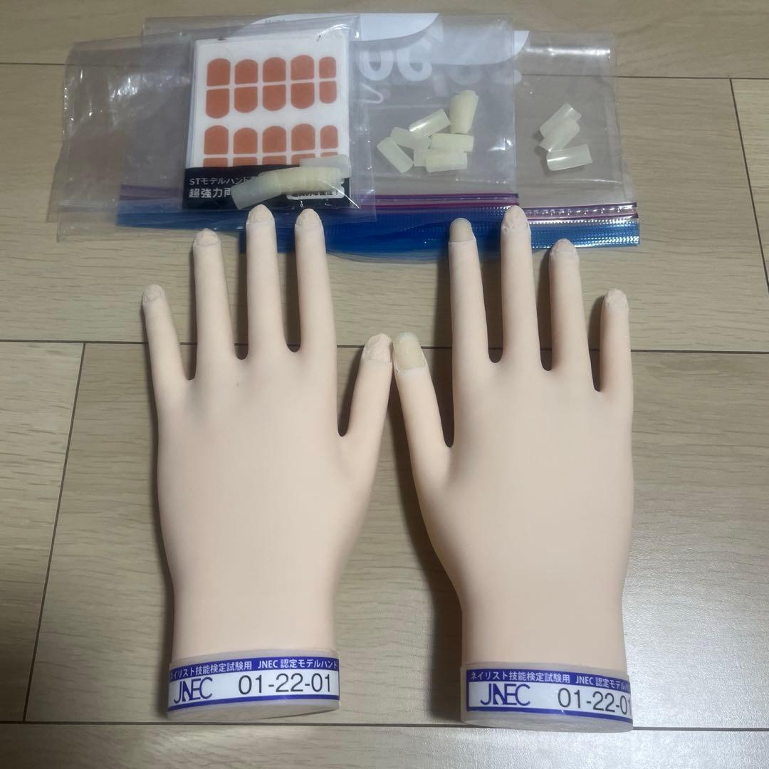 認定モデルハンド ネイルアート用手型 肌色 標準サイズ チップ付き シール付き