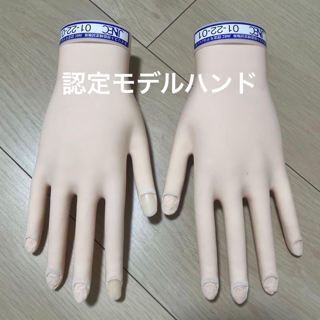 認定モデルハンド ネイルアート用手型 肌色 標準サイズ チップ付き シール付き