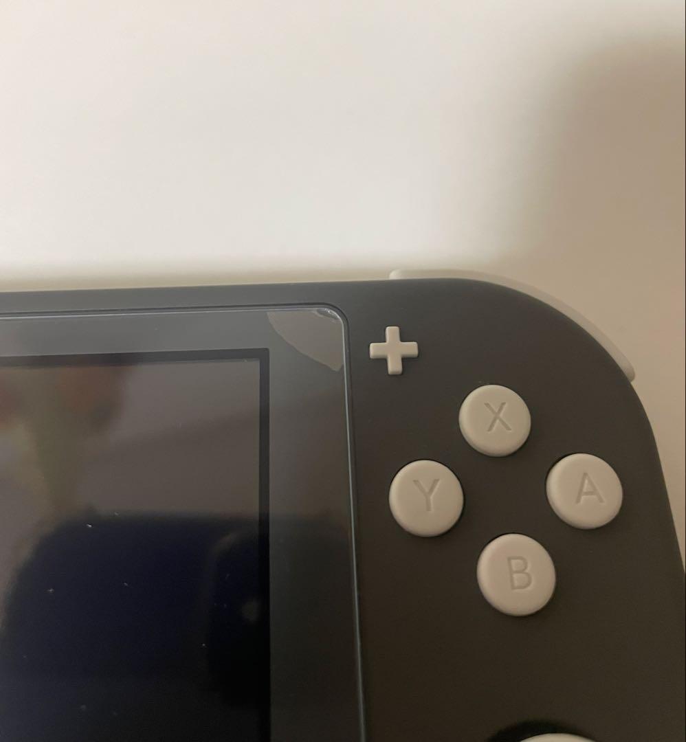 Nintendo switch Lite （本体ケース、カセット付き）