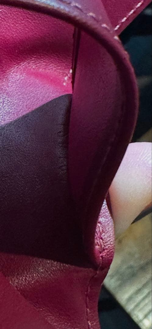 LOUIS VUITTON グラデーションキーケース／限定カラー／数量少ない