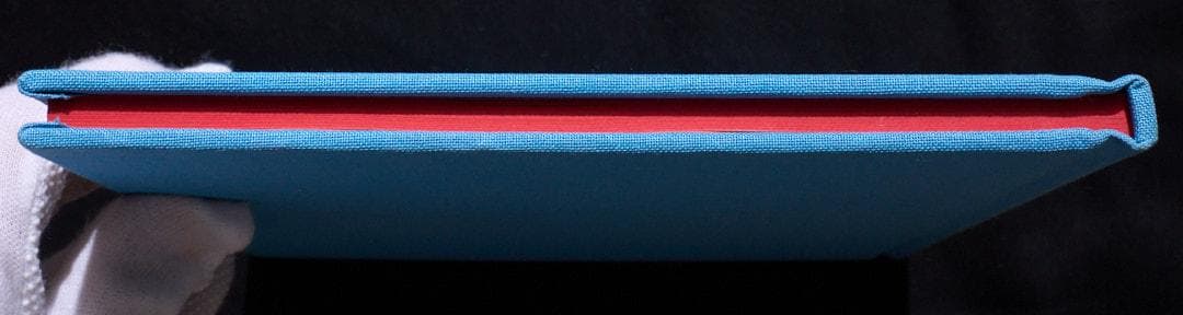 アート・デザイン・音楽 RYAN McGINLEY - Life Adjustment Center