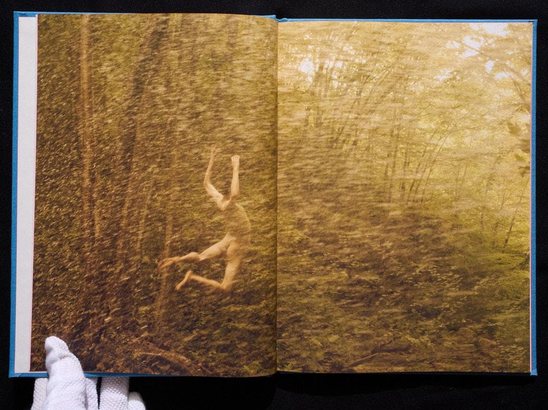 アート・デザイン・音楽 RYAN McGINLEY - Life Adjustment Center