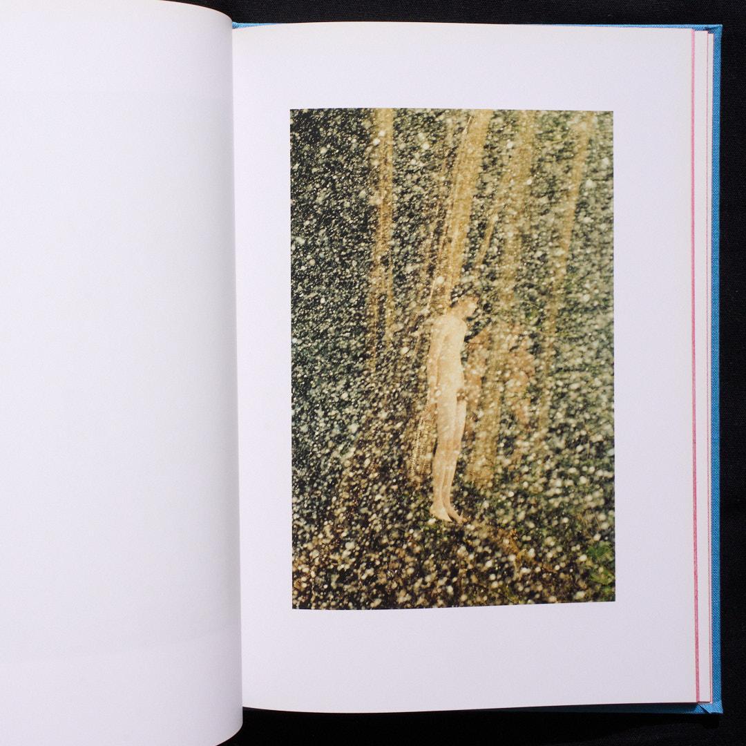 アート・デザイン・音楽 RYAN McGINLEY - Life Adjustment Center