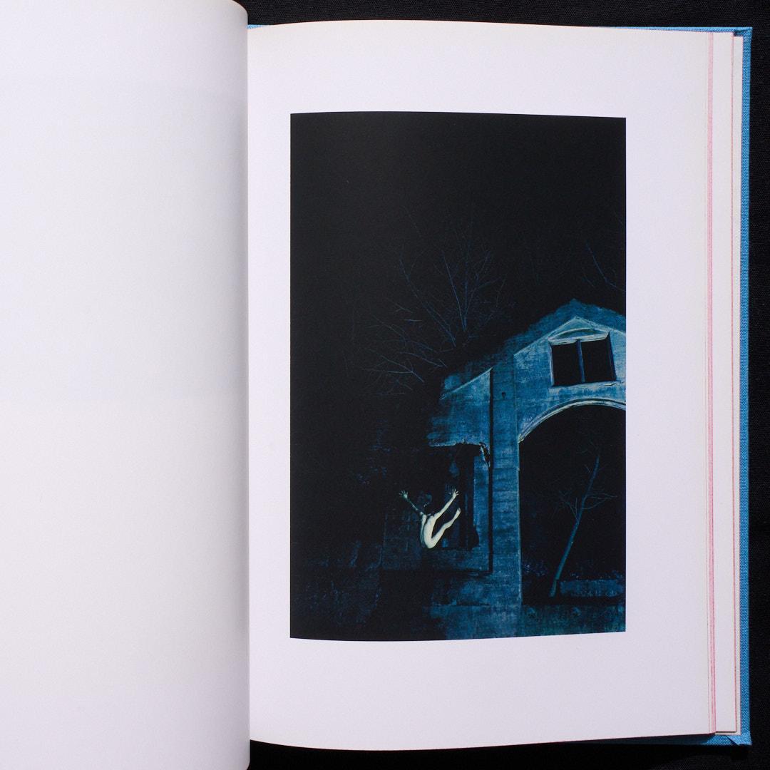 アート・デザイン・音楽 RYAN McGINLEY - Life Adjustment Center