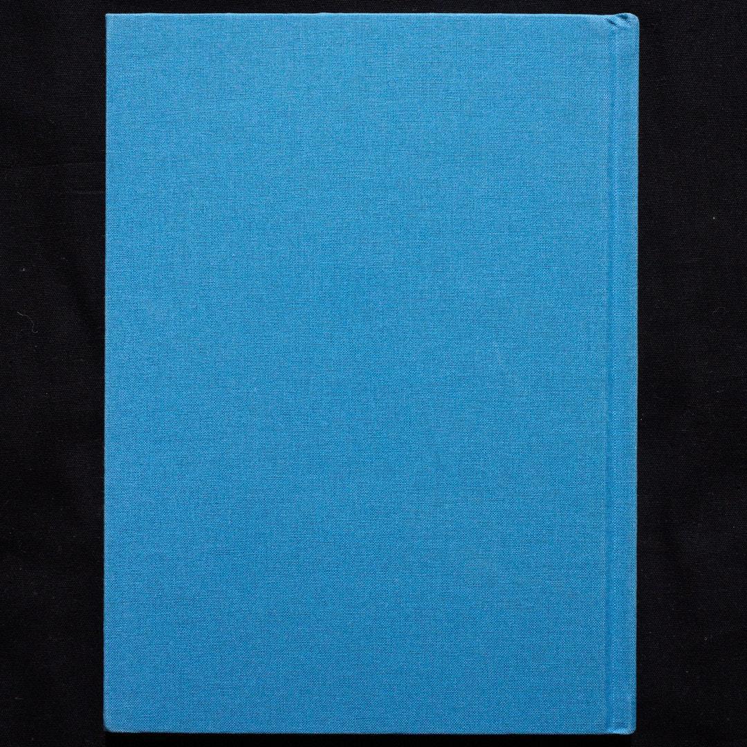 アート・デザイン・音楽 RYAN McGINLEY - Life Adjustment Center