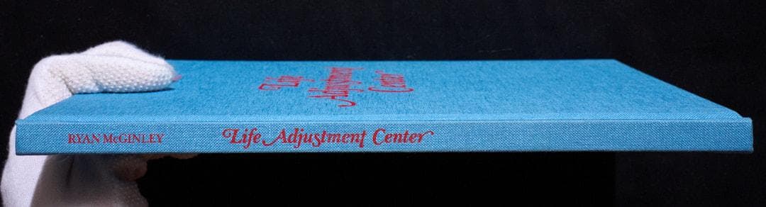 アート・デザイン・音楽 RYAN McGINLEY - Life Adjustment Center