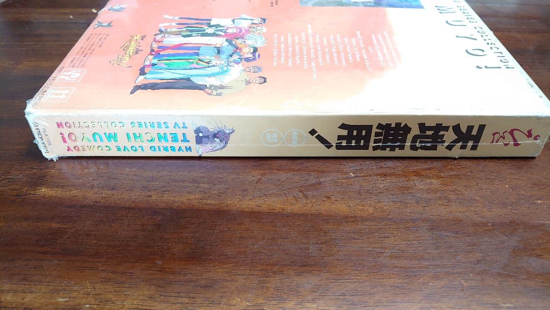 天地無用！地球篇 レーザーディスク版