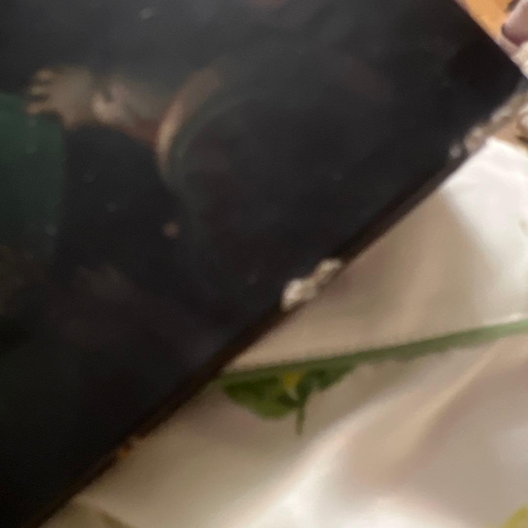 希少　洋書　イラスト集　不思議の国のアリス　THE ART OF AlICE