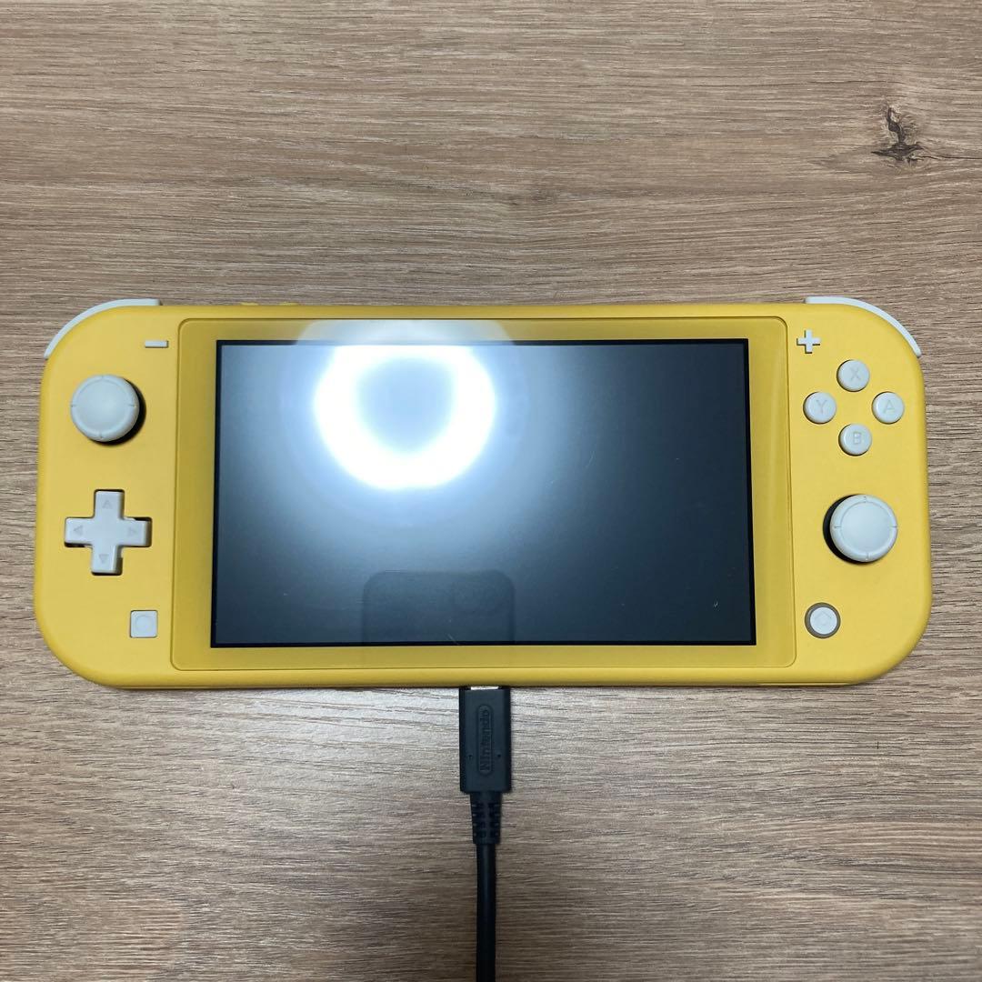 ニンテンドーSwitch lite 充電器付