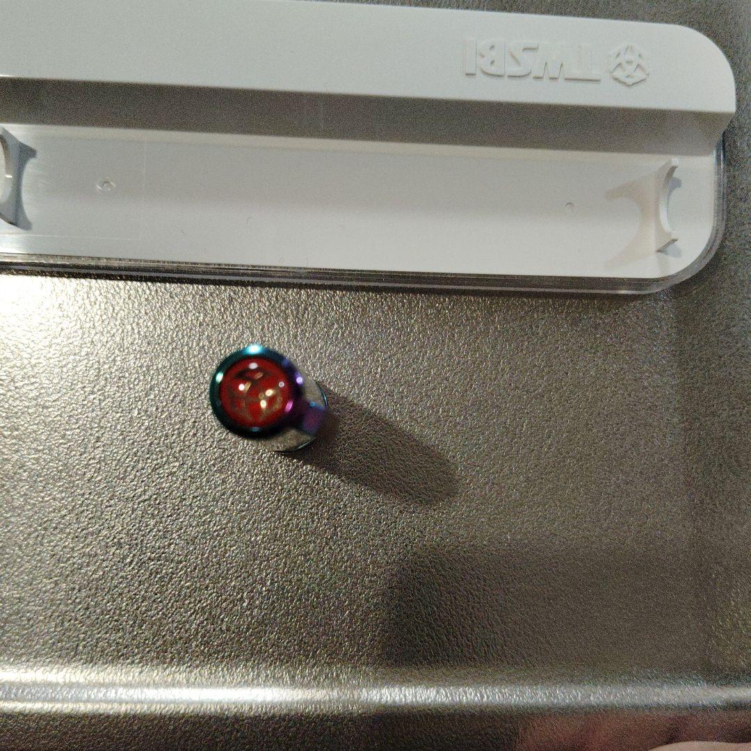 ツイスビー　アイリス　VAC Fニブ