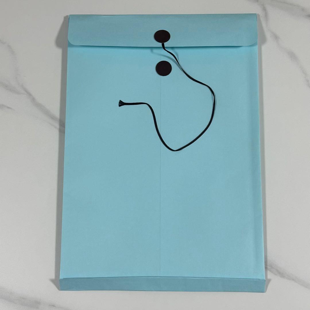 【おまけ付き】進撃の巨人 画集FLY