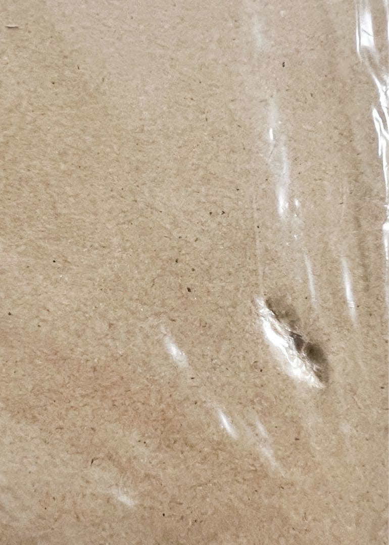 【未開封】スピッツのデザイン 予約特典版