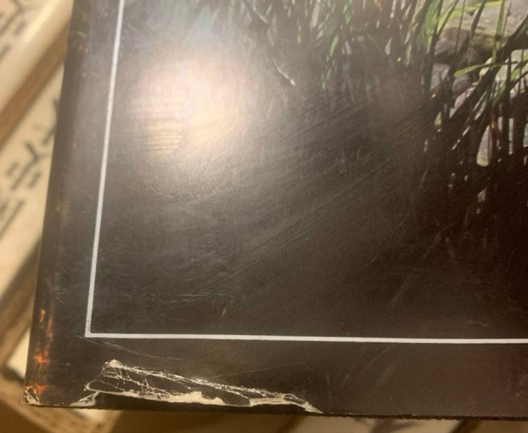 日本庭園史大系 / 重森三玲・重森完途 著、大橋治三 撮影　21〜30