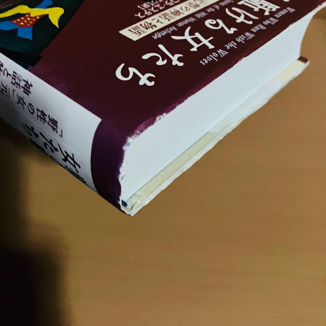 狼と駈ける女たち : 「野性の女」元型の神話と物語