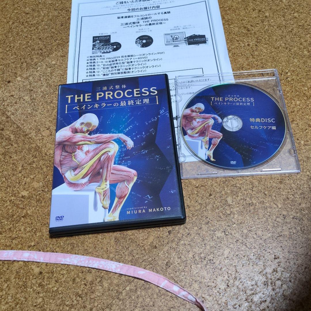 THE PROCESS ペインキラーの最終定理