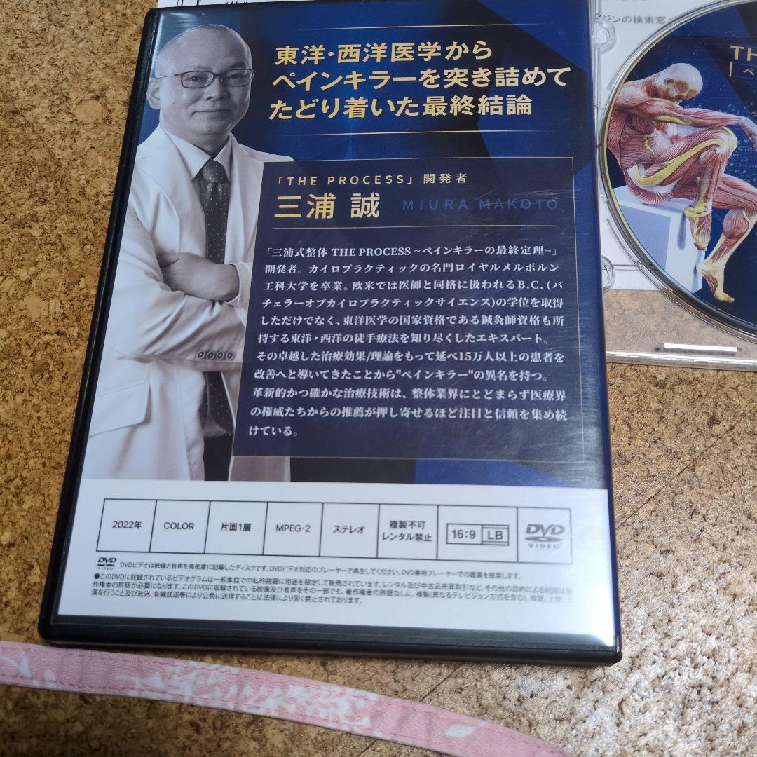 THE PROCESS ペインキラーの最終定理