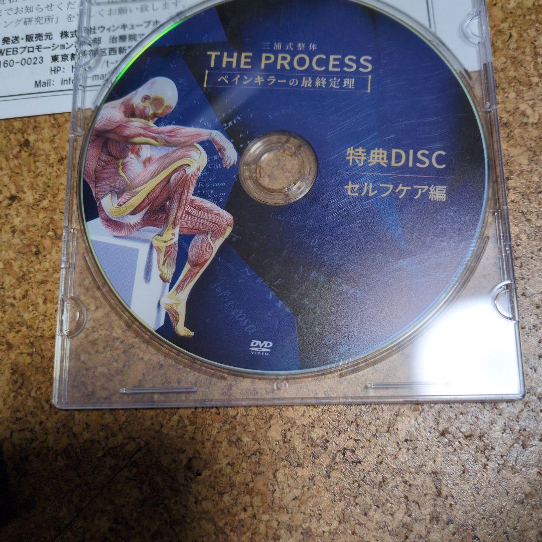 THE PROCESS ペインキラーの最終定理