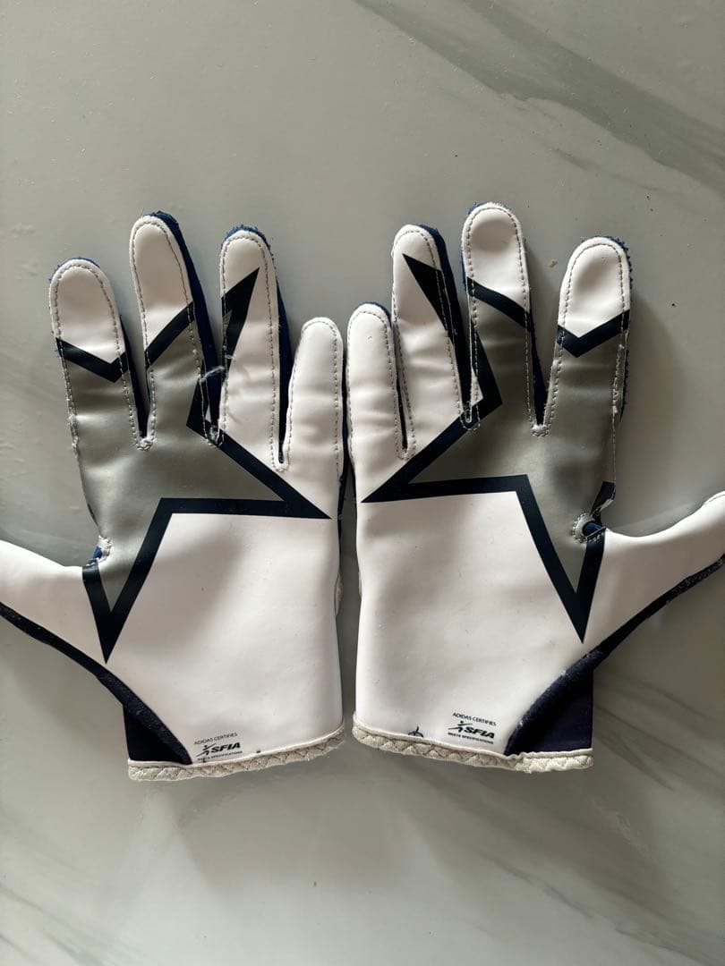 X1“Silver Star“別注チームハンドグローブ Lサイズ ＊非売品