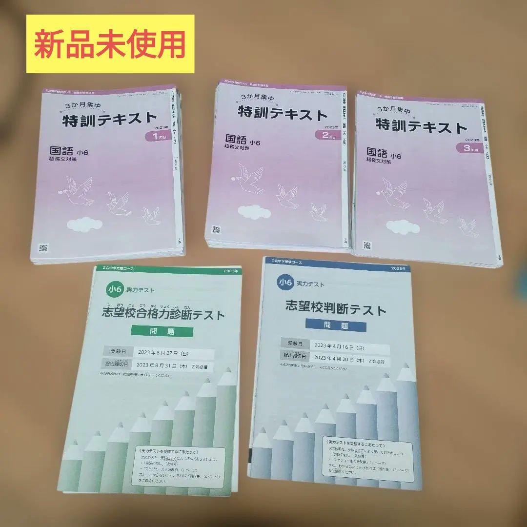 【〜1/14まで値下げ】【送料無料】Z会　中学受験　特訓テキスト 小６　未使用