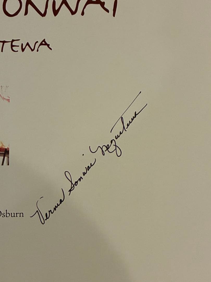 直筆サイン入り　Visions of Sonwai ハードカバー アートブック