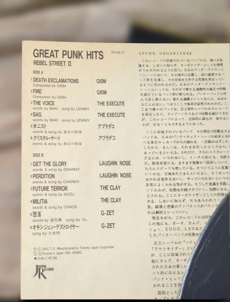 GREAT PUNK HITS LP　レコード