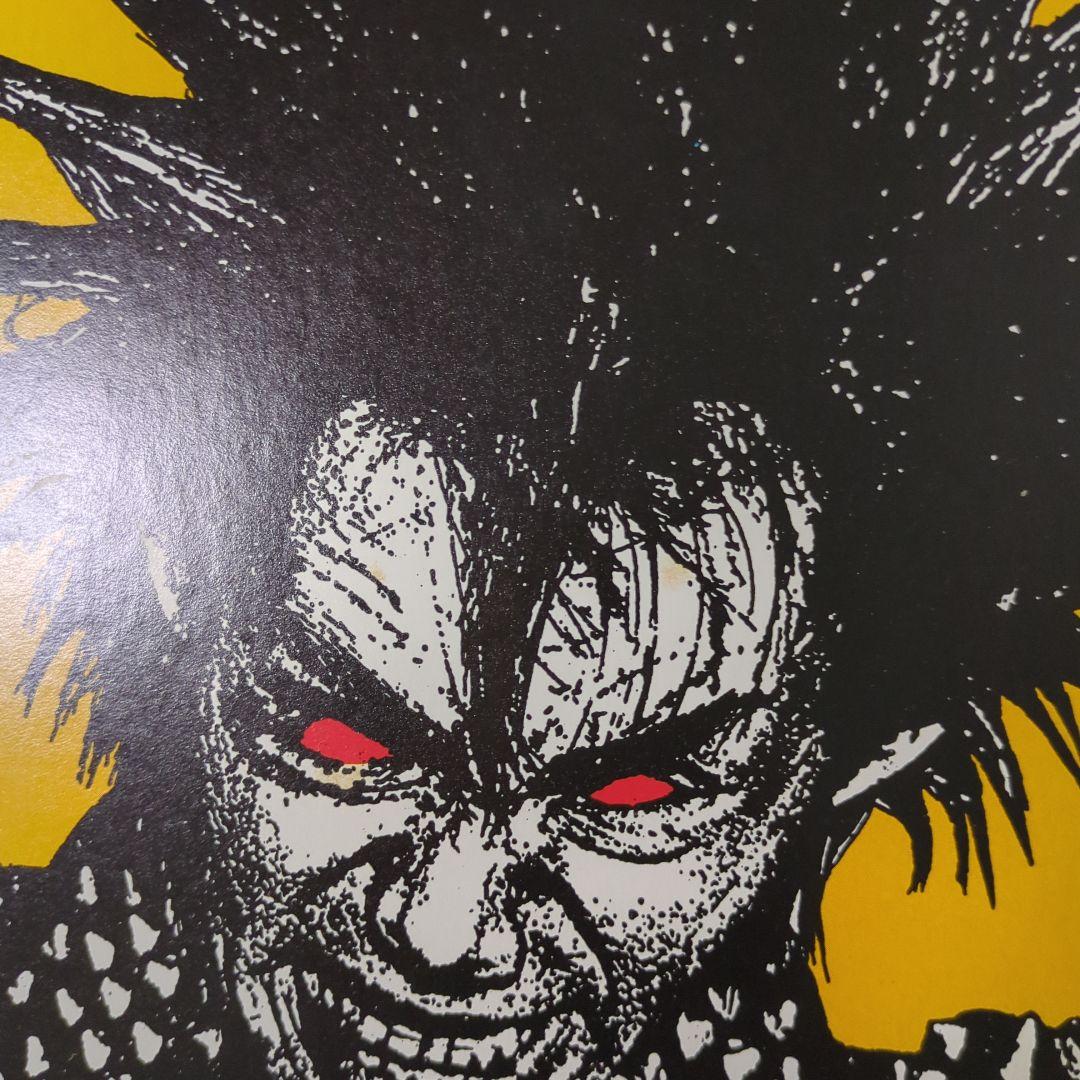 GREAT PUNK HITS LP　レコード