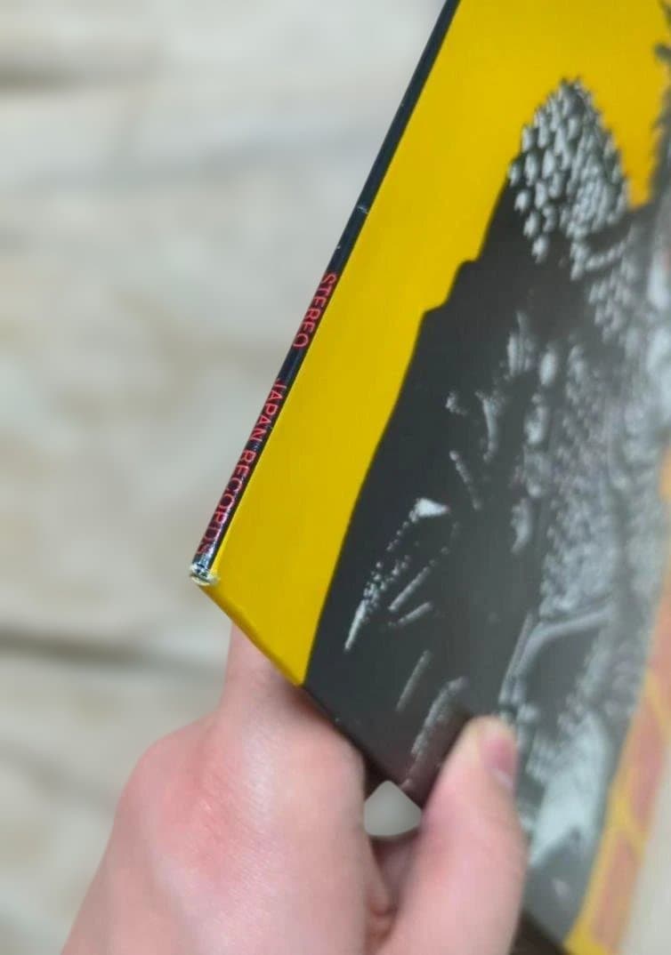 GREAT PUNK HITS LP　レコード