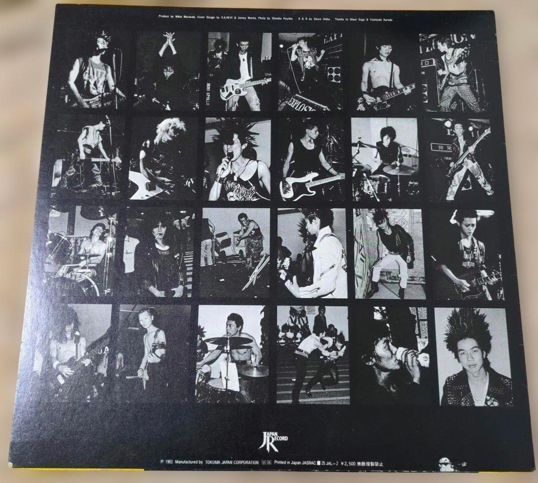 GREAT PUNK HITS LP　レコード