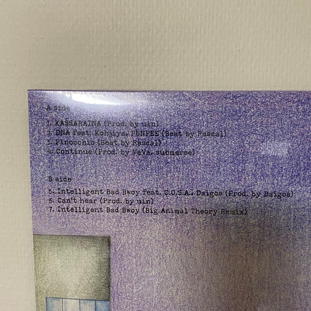 【新品】busy BIM PUNPEE Kohjiya DNA LP レコード