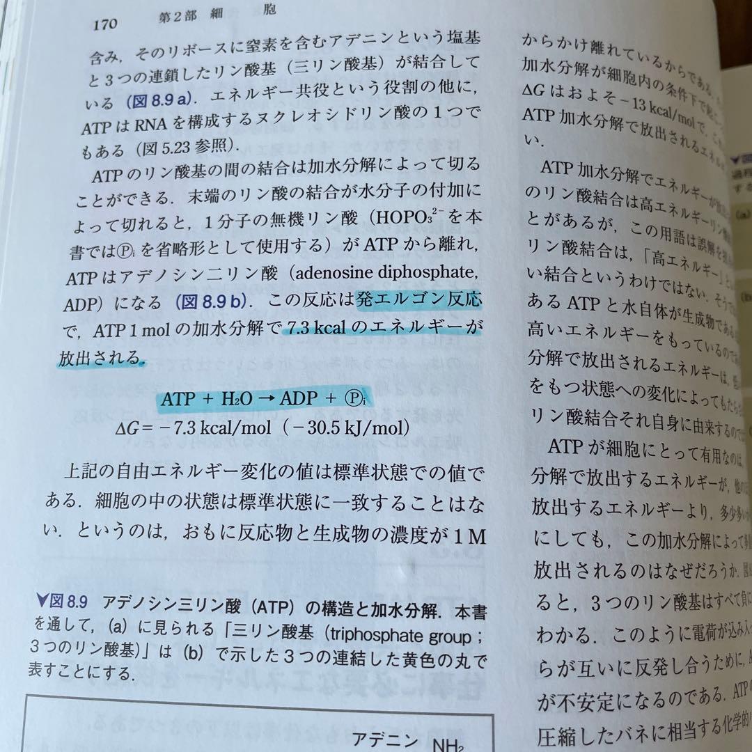 キャンベル生物学 第11版