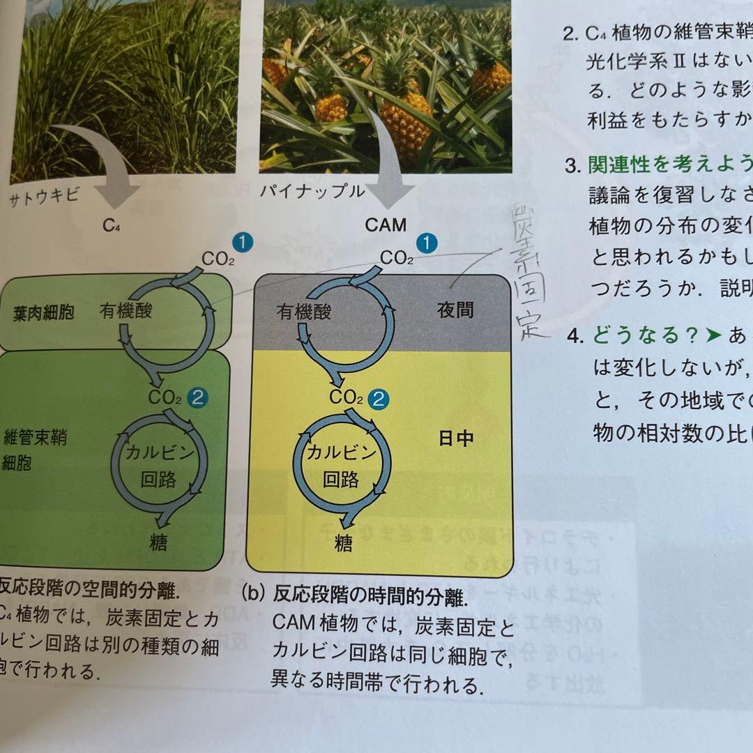 キャンベル生物学 第11版