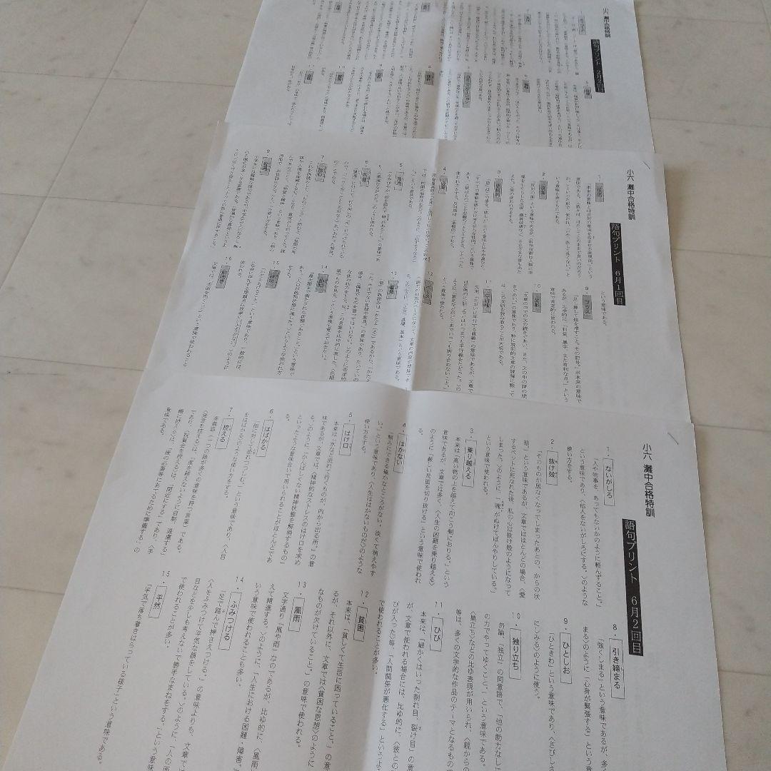 浜学園 小6 灘中合格特訓 国語 算数 理科 フルセット 語句プリント付