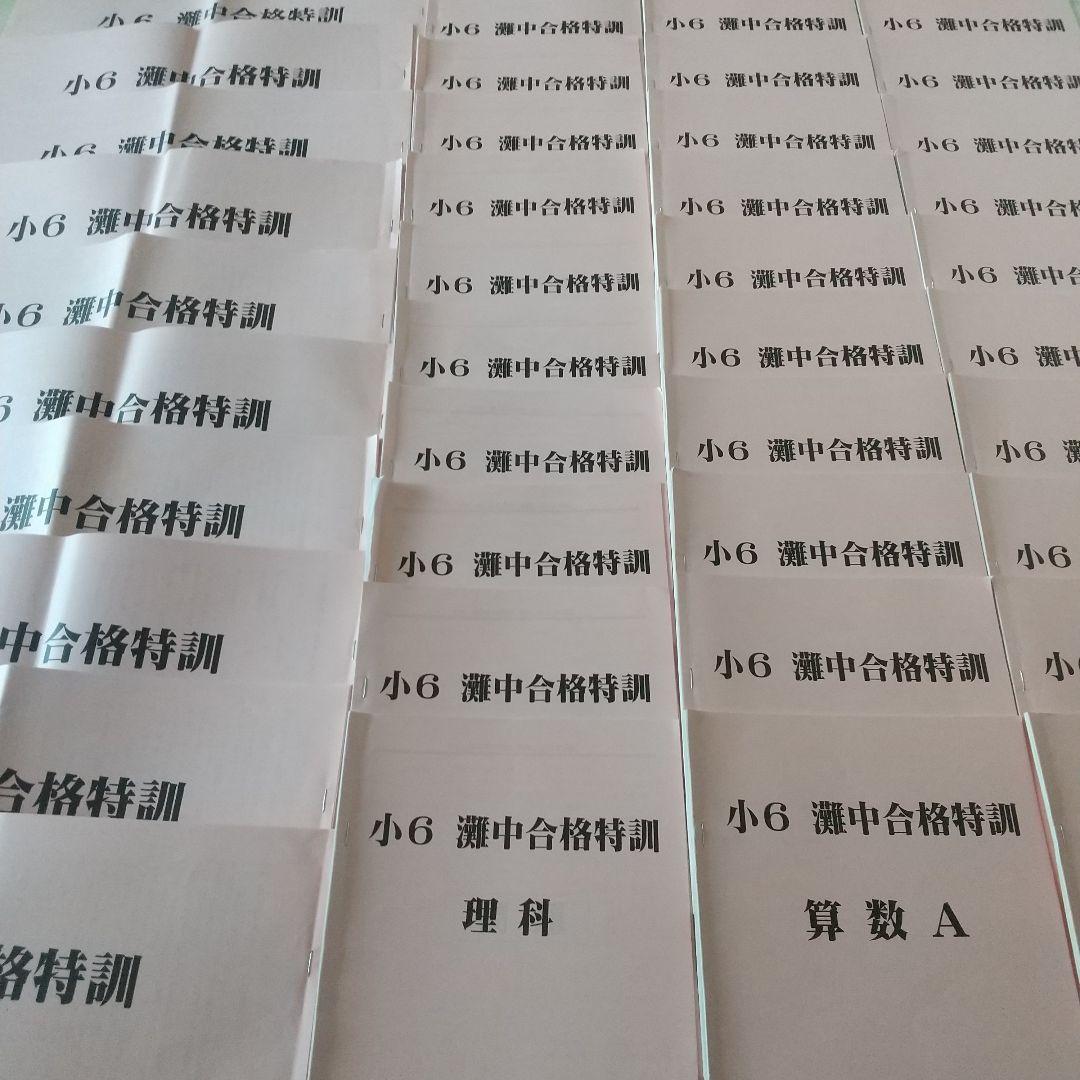 浜学園 小6 灘中合格特訓 国語 算数 理科 フルセット 語句プリント付