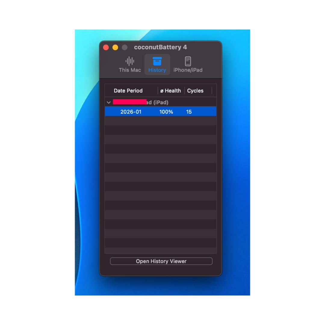iPad 第10世代 64GB シルバー Wi-Fi 美品 電池100%おまけ有