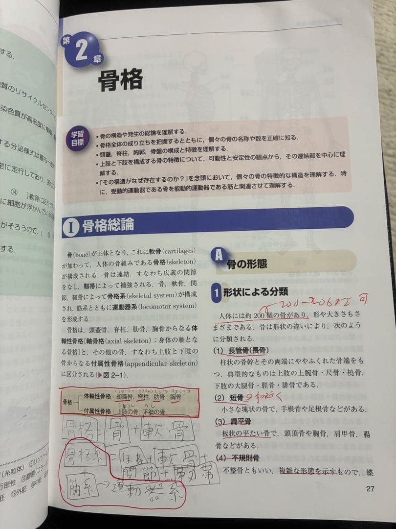 解剖学 第6版 & 内科学 第5版