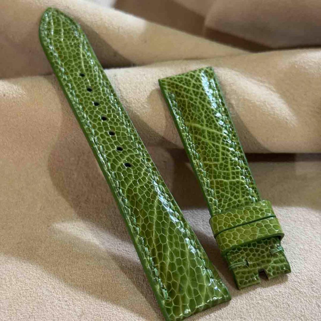 ost-436 オーストリッチ 腕時計ベルト グリーン ラグ幅19mm