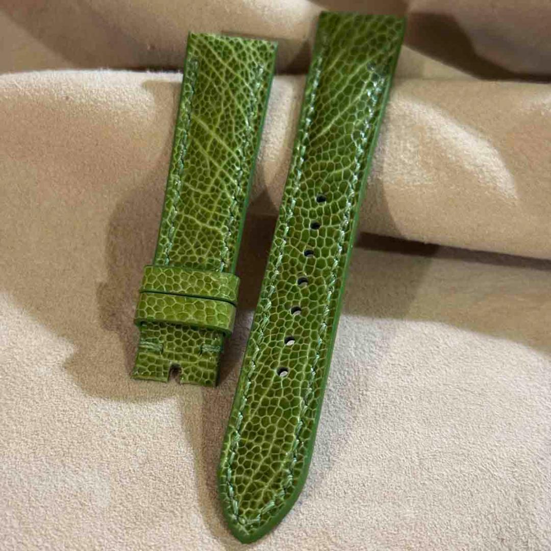 ost-436 オーストリッチ 腕時計ベルト グリーン ラグ幅19mm