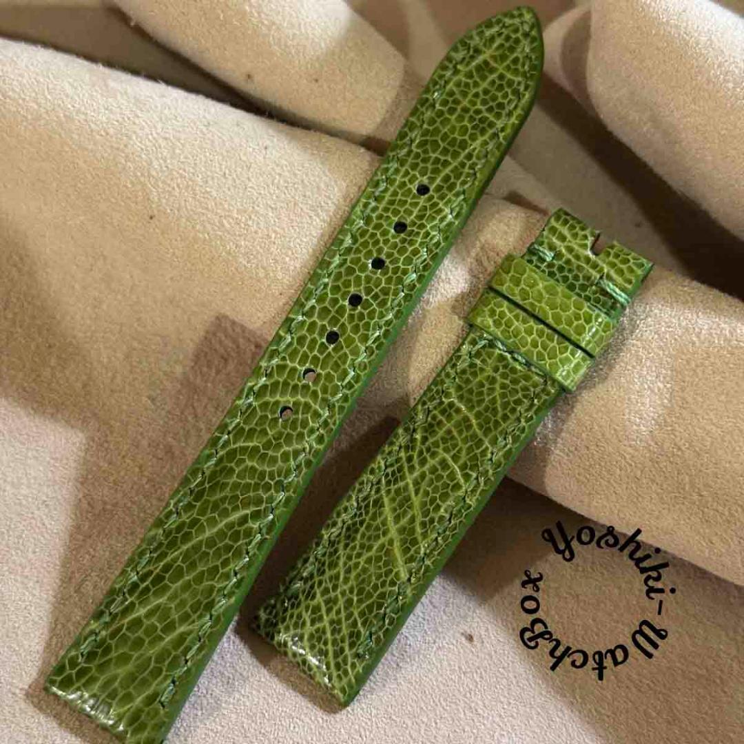 ost-436 オーストリッチ 腕時計ベルト グリーン ラグ幅19mm