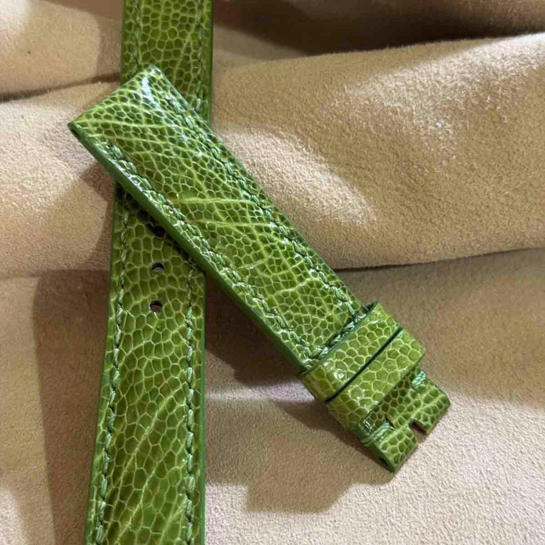 ost-436 オーストリッチ 腕時計ベルト グリーン ラグ幅19mm