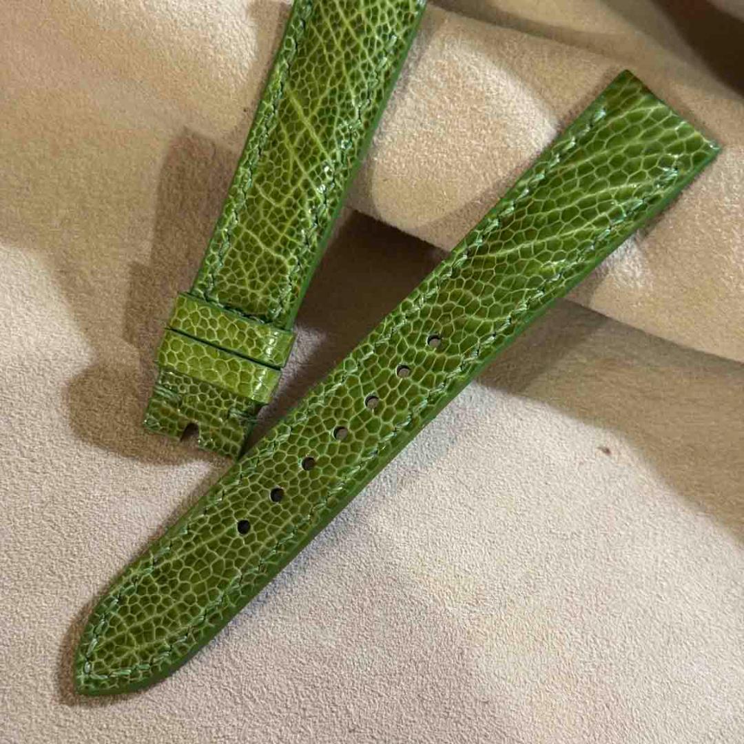 ost-436 オーストリッチ 腕時計ベルト グリーン ラグ幅19mm