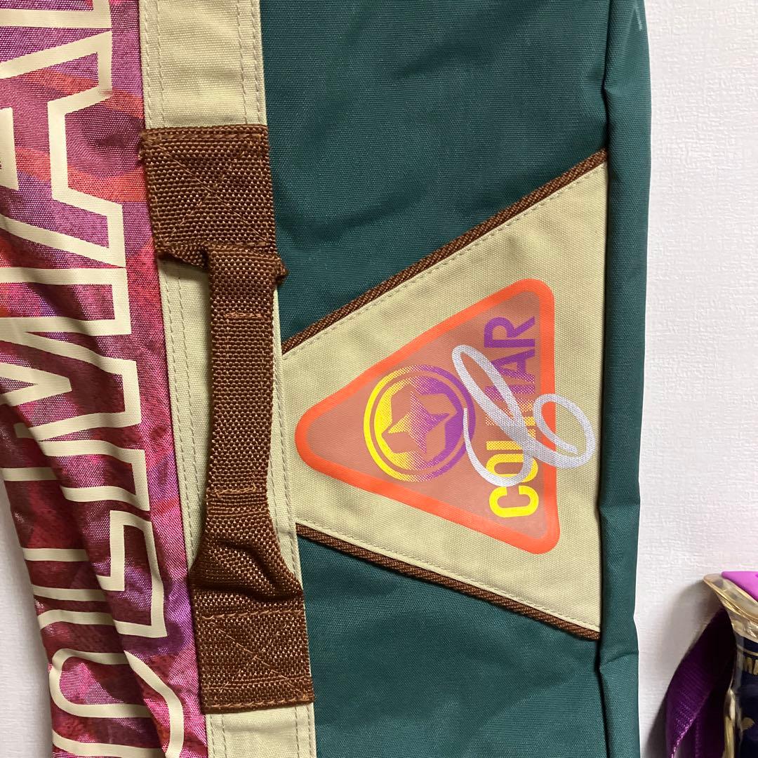 カービングスキー DYNASTAR Stacks ポール、カバー付セット